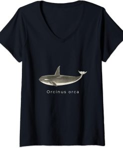 Womens Orca Latin - Dolphin Fish Ocean Vintage Art V-Neck T-Shirt